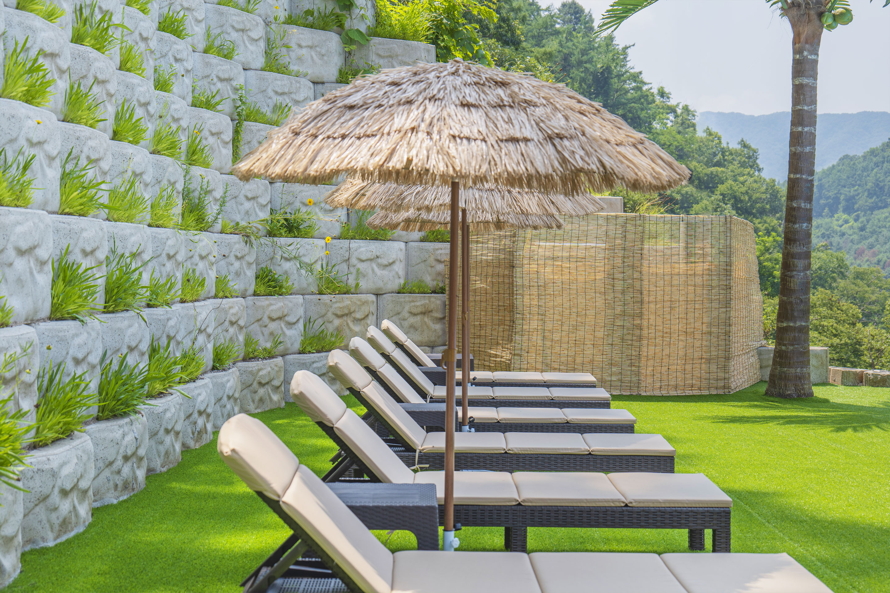 레드콩 미디엄 2603의 