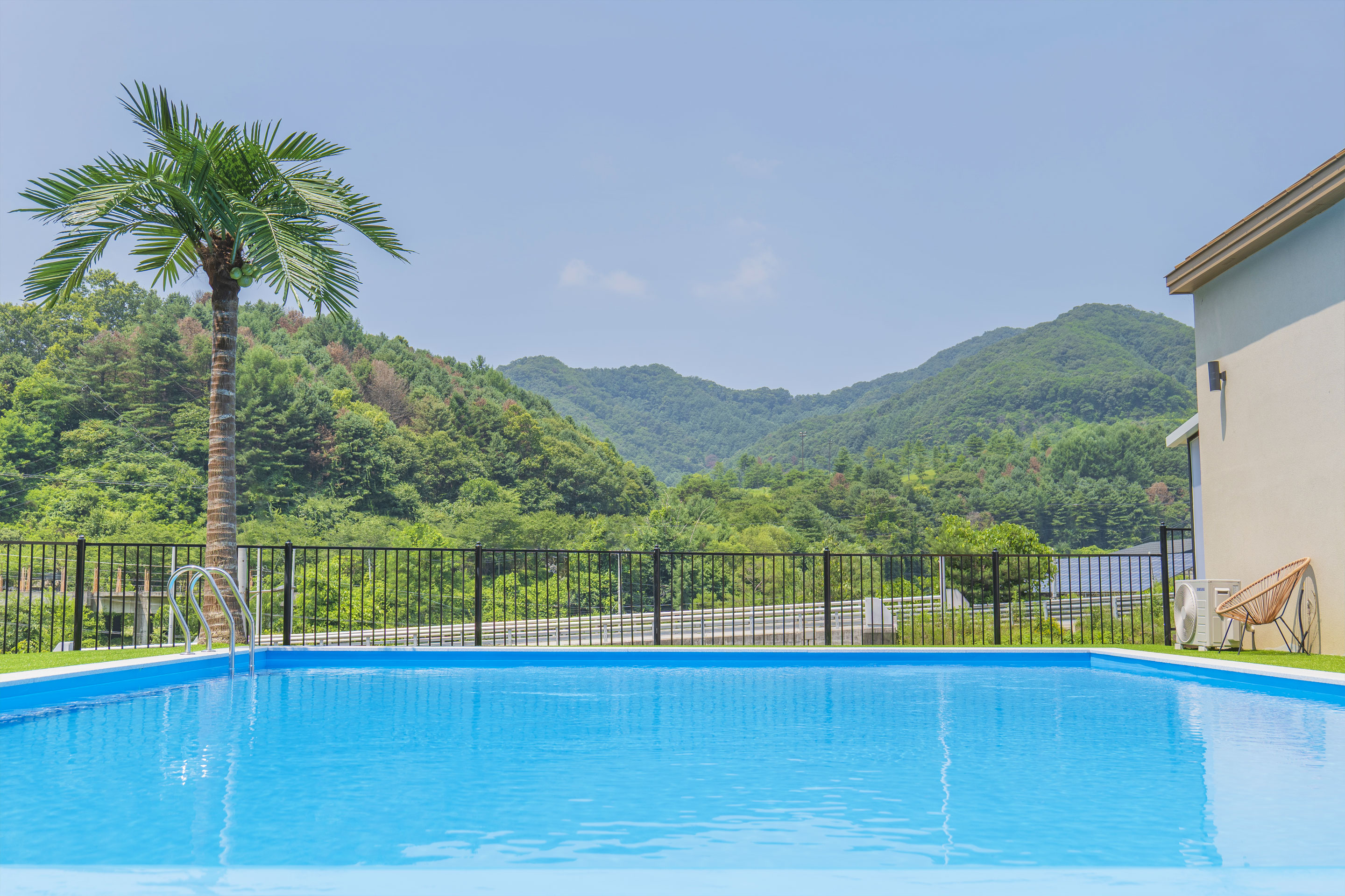 레드콩 미디엄 2603의 