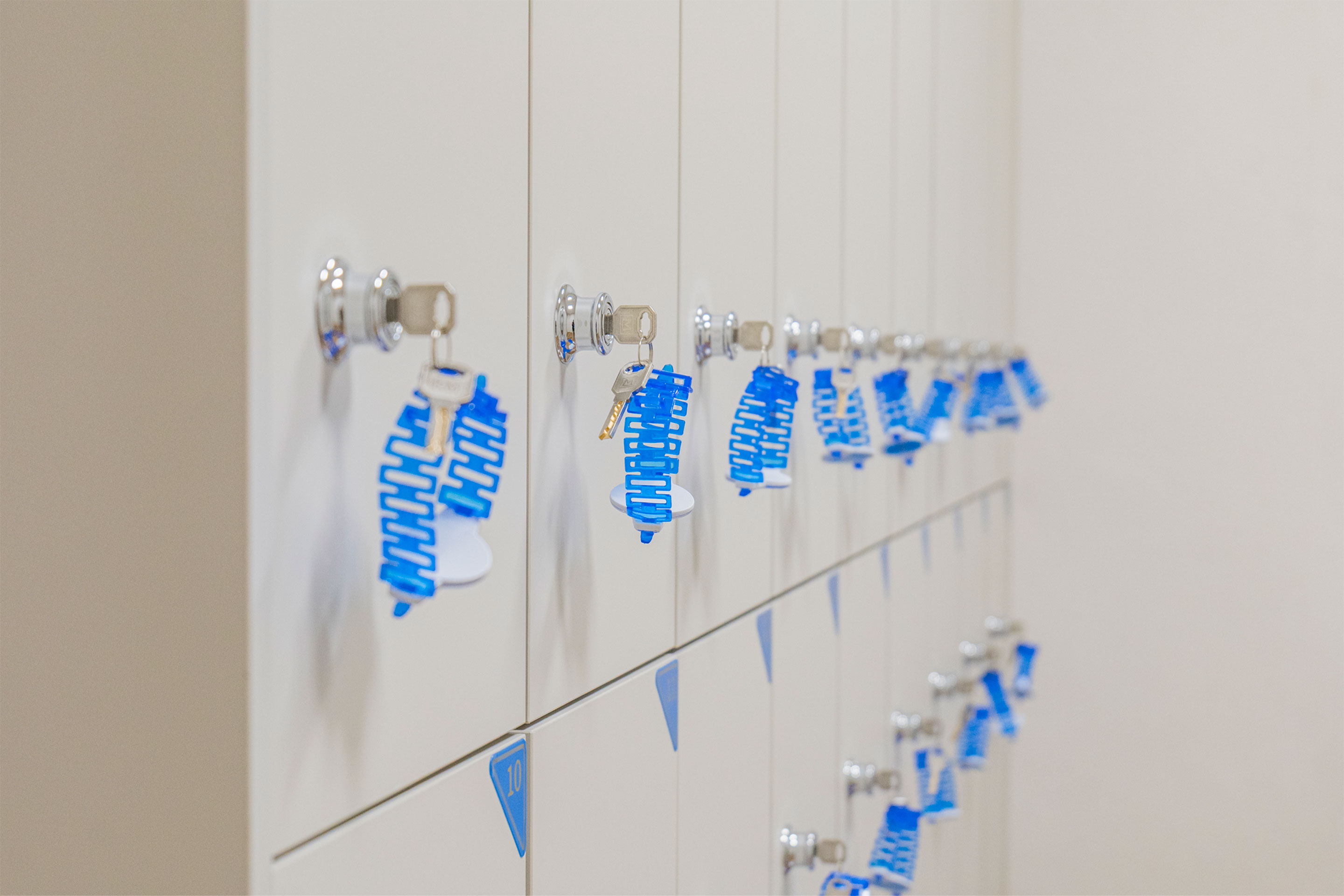 레드콩 미디엄 2603의 