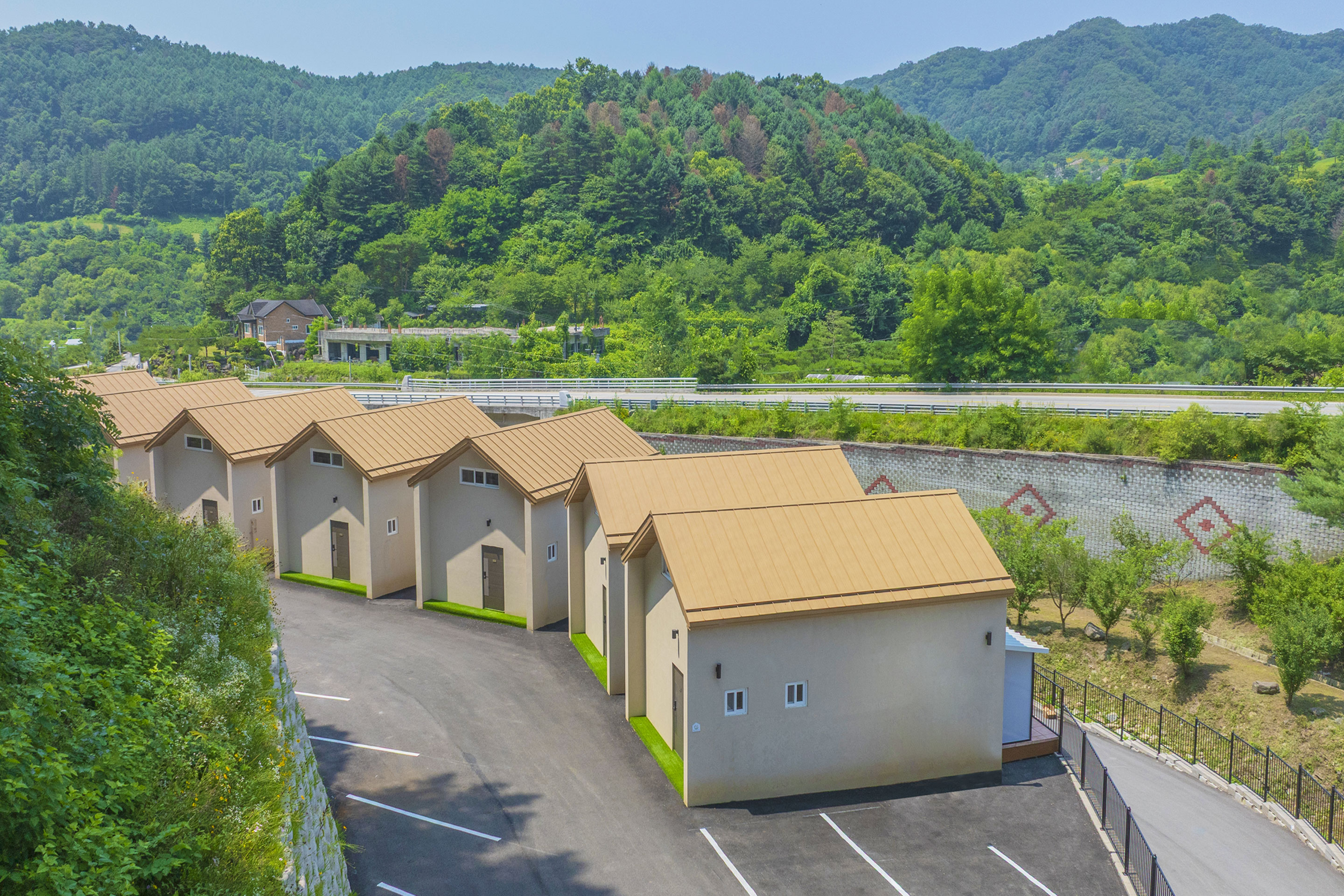 레드콩 미디엄 2603