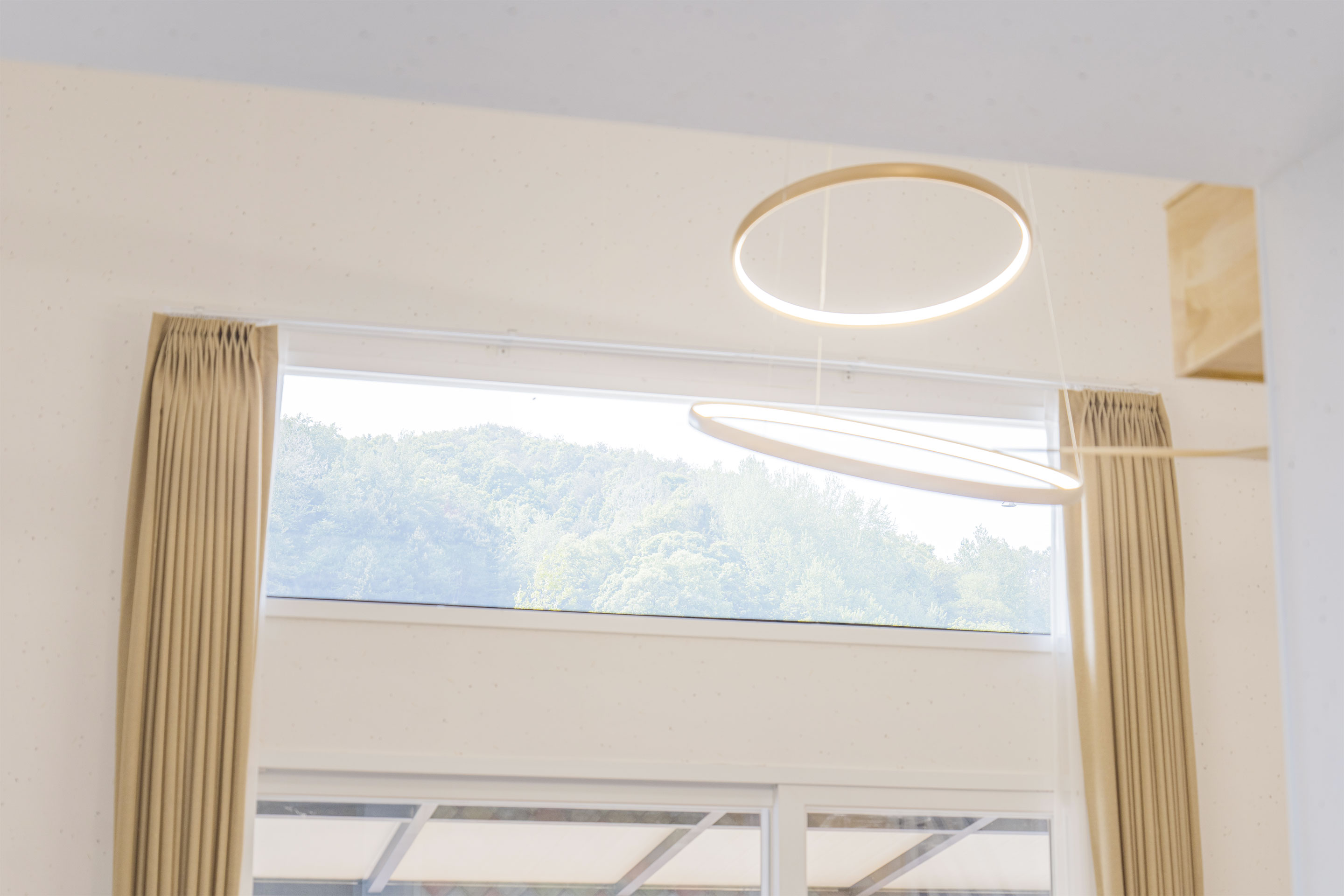 레드콩 미디엄 2603Road 3