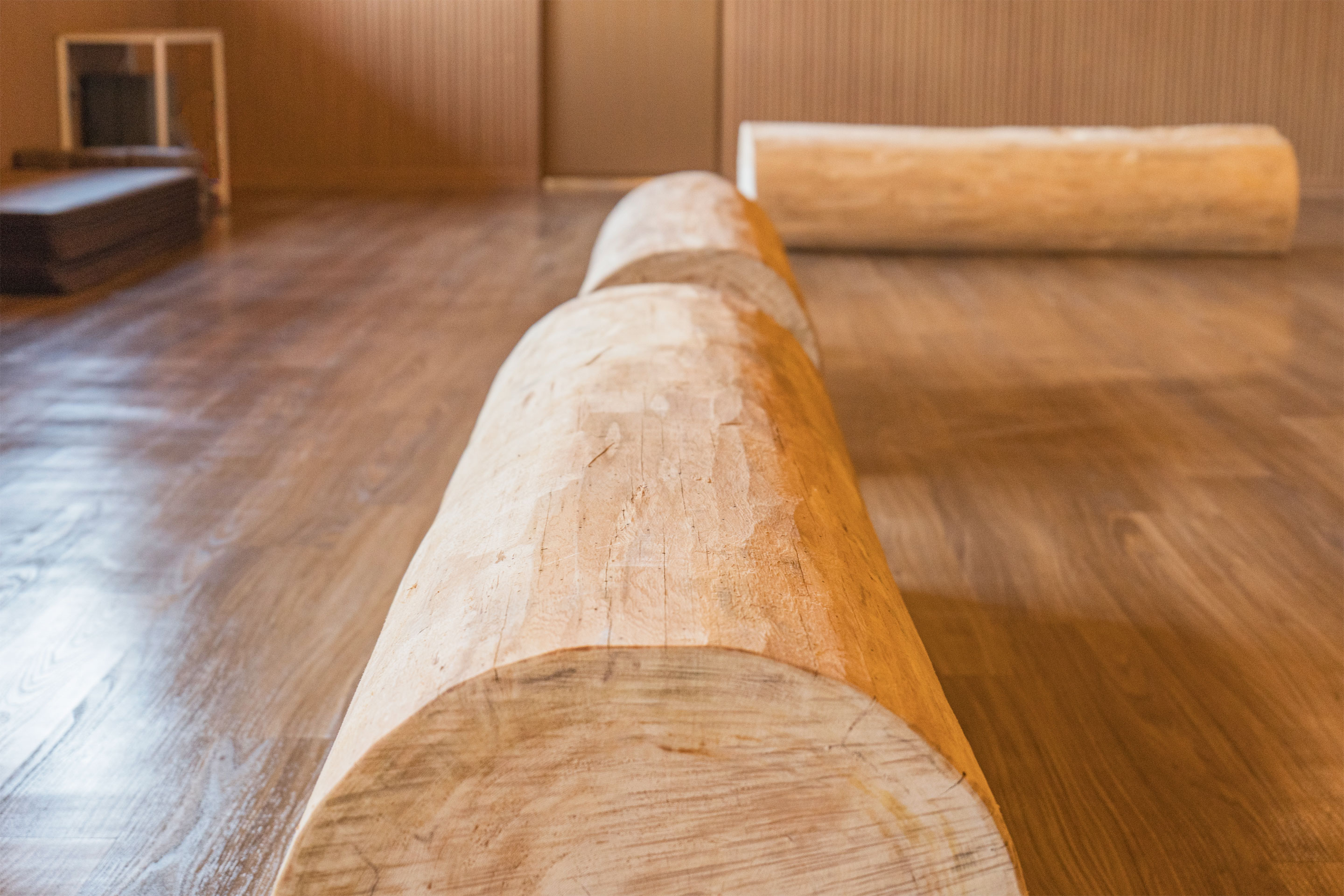 레드콩 미디엄 2603